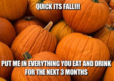 funny fall memes